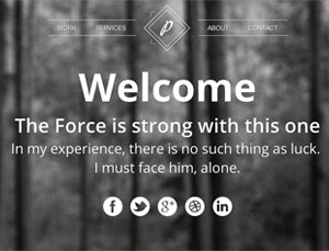 闪电发货的在线网站攻击