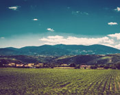 智慧企业打造的ddos攻击器安卓ios下载